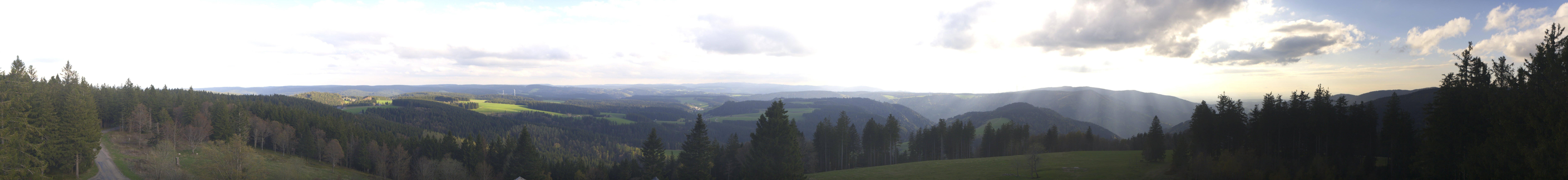 Archiv Foto Webcam Schwarzwald - Brendturm