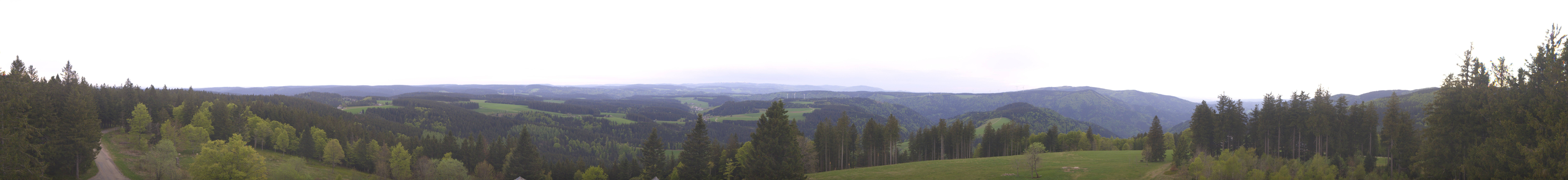 Archiv Foto Webcam Schwarzwald - Brendturm
