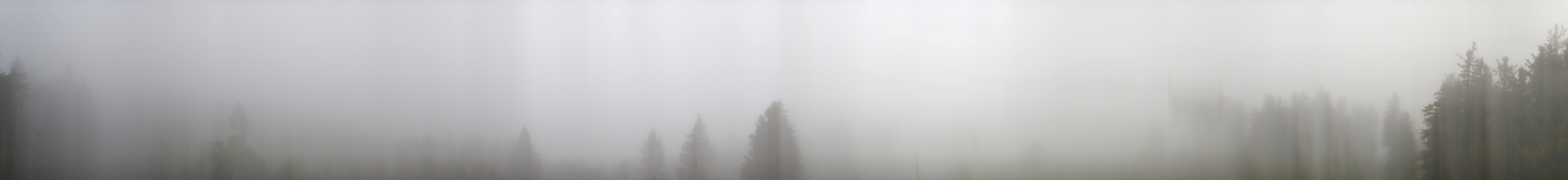 Archiv Foto Webcam Schwarzwald - Brendturm