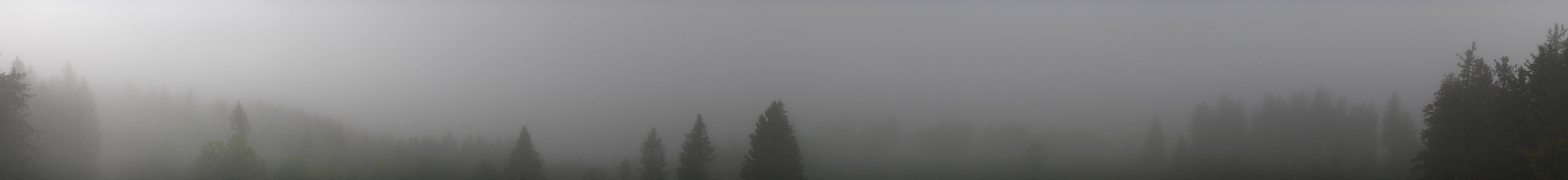 Archiv Foto Webcam Schwarzwald - Brendturm