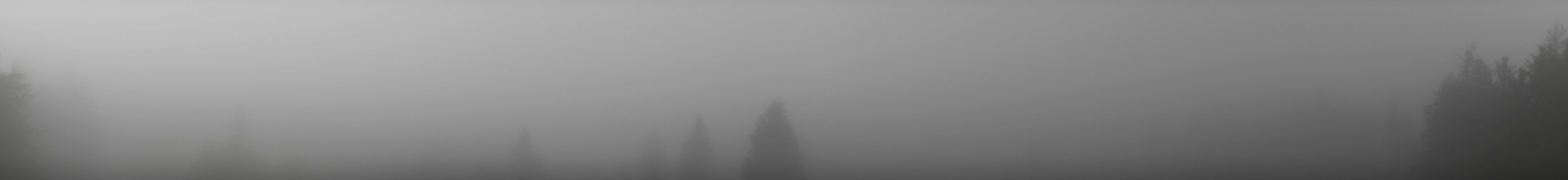 Archiv Foto Webcam Schwarzwald - Brendturm