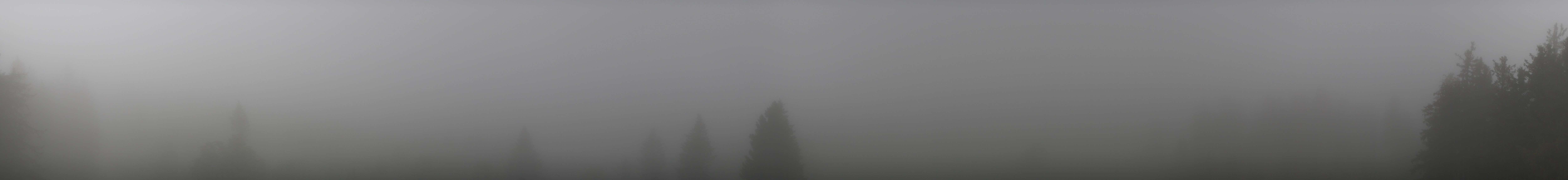 Archiv Foto Webcam Schwarzwald - Brendturm