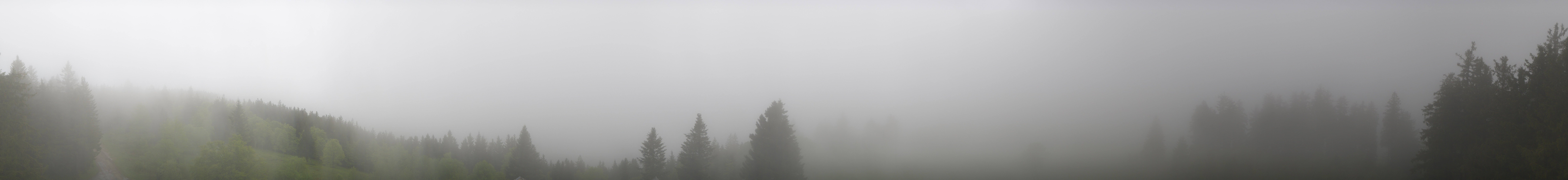 Archiv Foto Webcam Schwarzwald - Brendturm