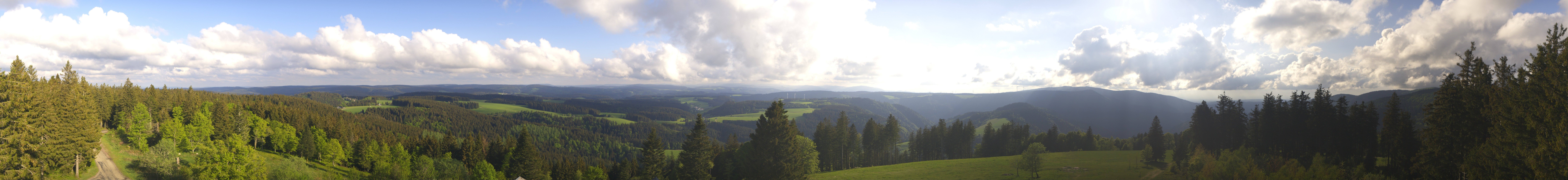 Archiv Foto Webcam Schwarzwald - Brendturm