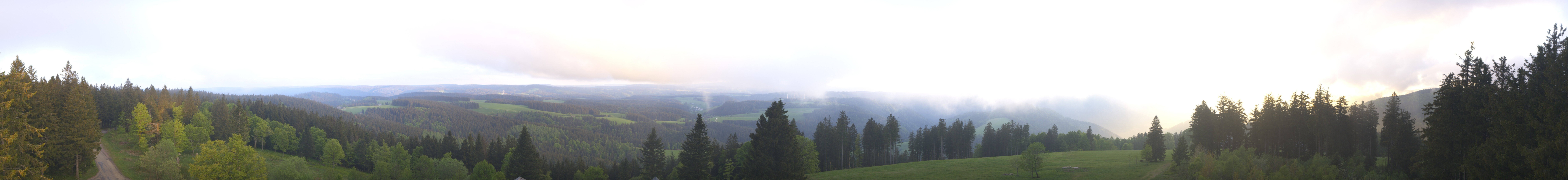 Archiv Foto Webcam Schwarzwald - Brendturm
