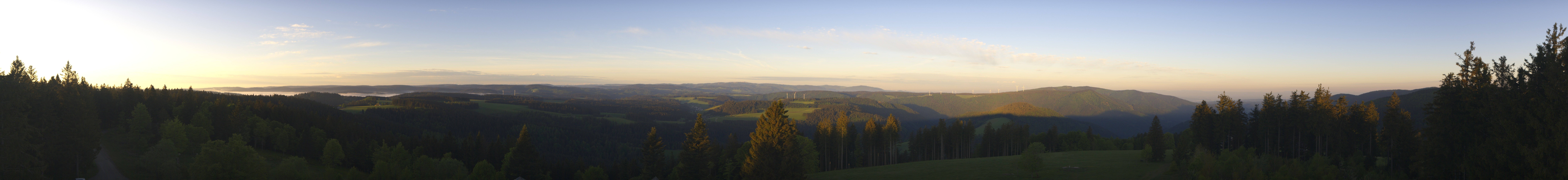 Archiv Foto Webcam Schwarzwald - Brendturm