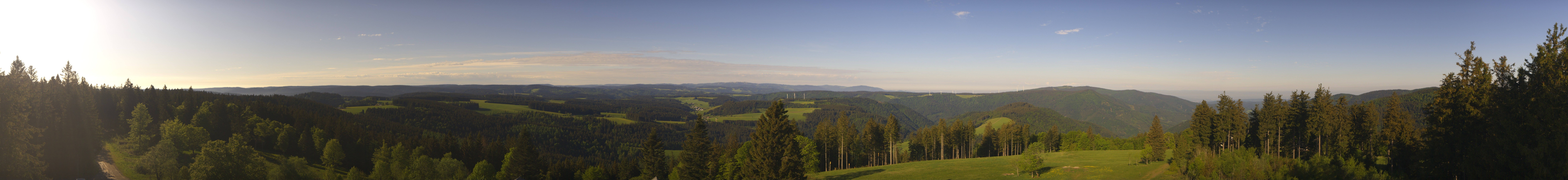 Archiv Foto Webcam Schwarzwald - Brendturm