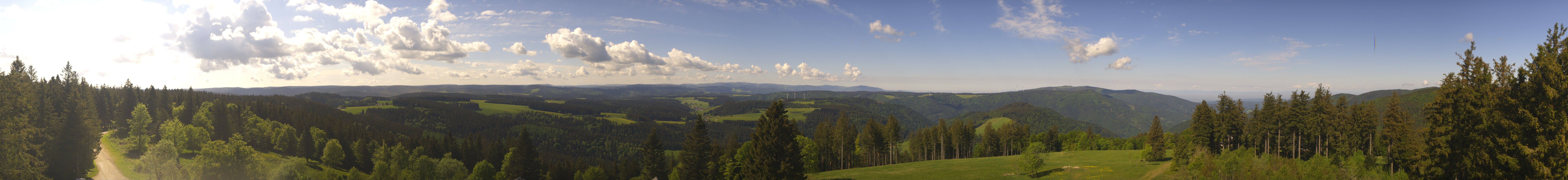 Archiv Foto Webcam Schwarzwald - Brendturm