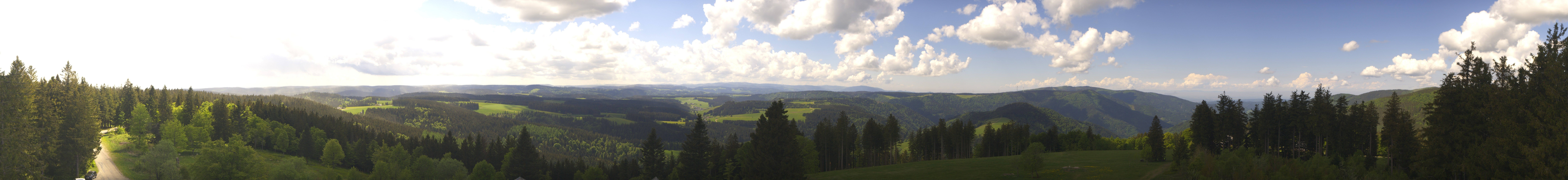 Archiv Foto Webcam Schwarzwald - Brendturm