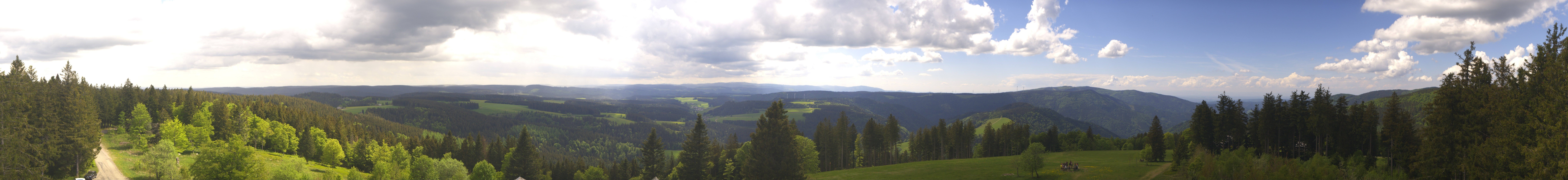 Archiv Foto Webcam Schwarzwald - Brendturm