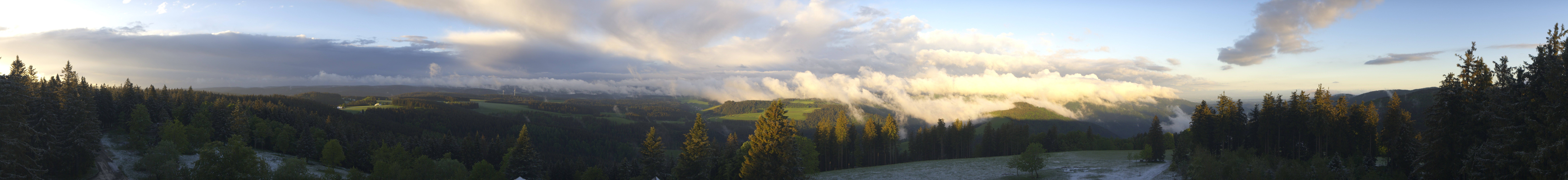 Archiv Foto Webcam Schwarzwald - Brendturm