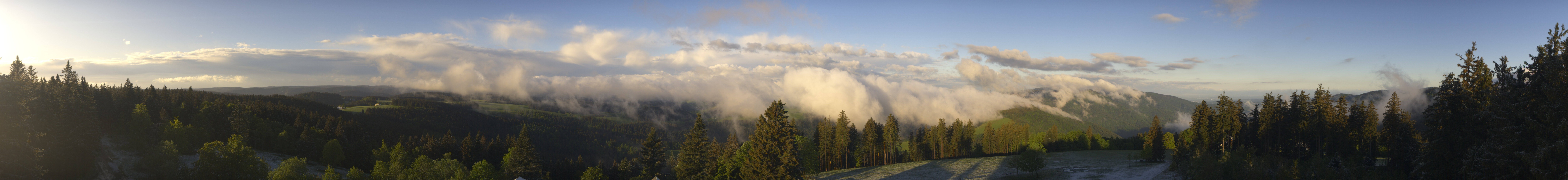Archiv Foto Webcam Schwarzwald - Brendturm