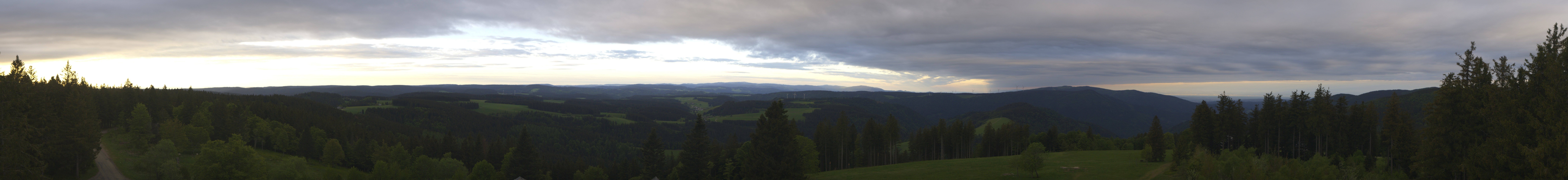 Archiv Foto Webcam Schwarzwald - Brendturm