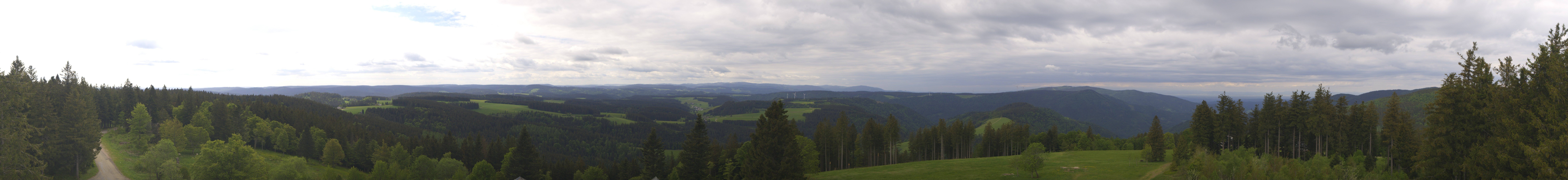 Archiv Foto Webcam Schwarzwald - Brendturm