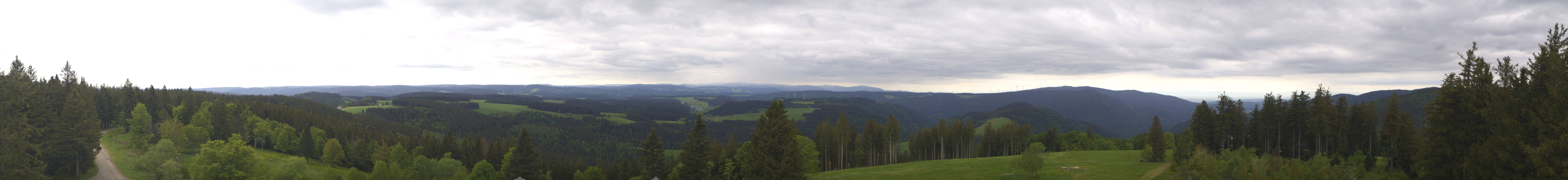 Archiv Foto Webcam Schwarzwald - Brendturm