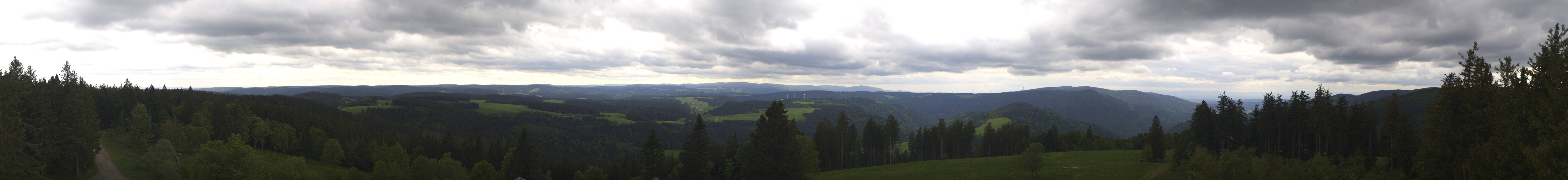 Archiv Foto Webcam Schwarzwald - Brendturm
