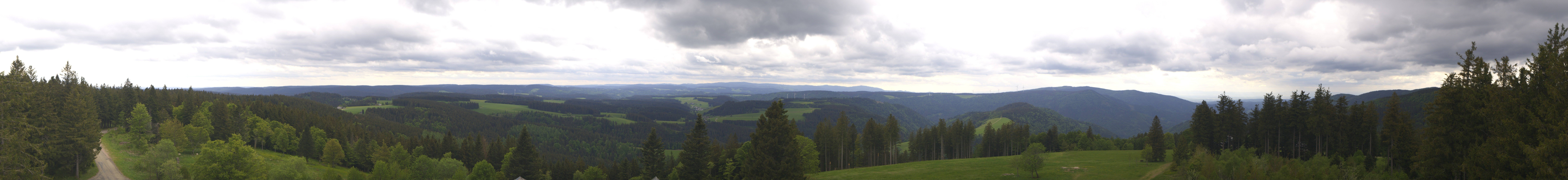 Archiv Foto Webcam Schwarzwald - Brendturm