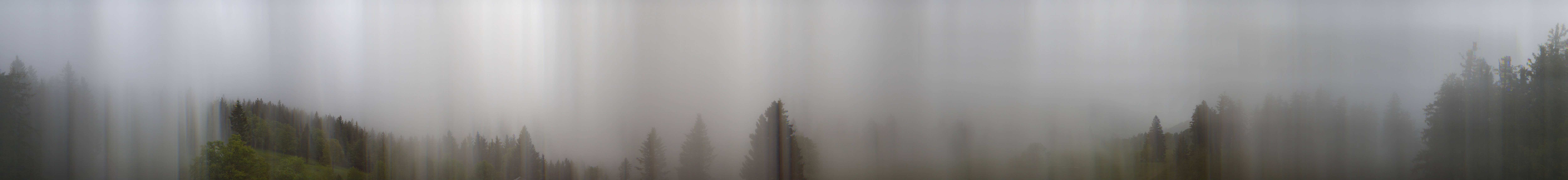 Archiv Foto Webcam Schwarzwald - Brendturm