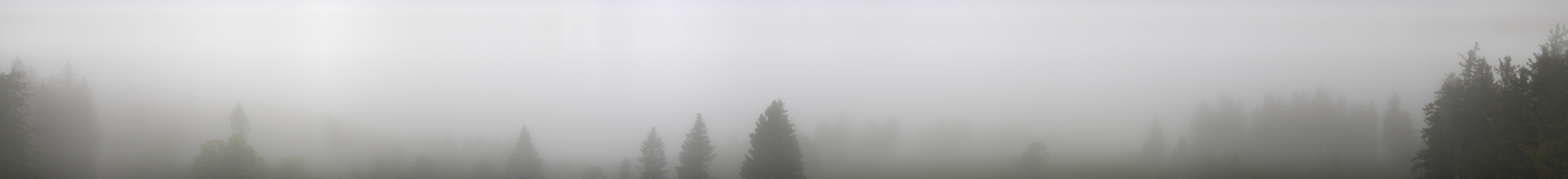 Archiv Foto Webcam Schwarzwald - Brendturm