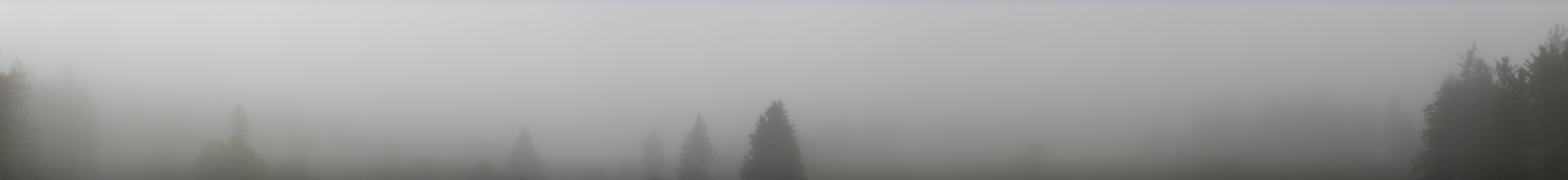 Archiv Foto Webcam Schwarzwald - Brendturm