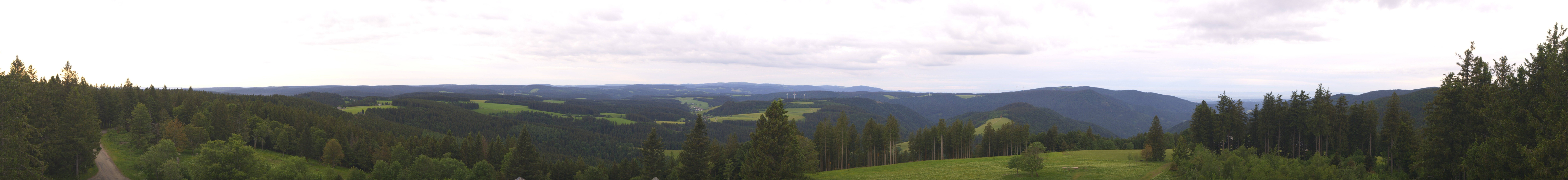 Archiv Foto Webcam Schwarzwald - Brendturm