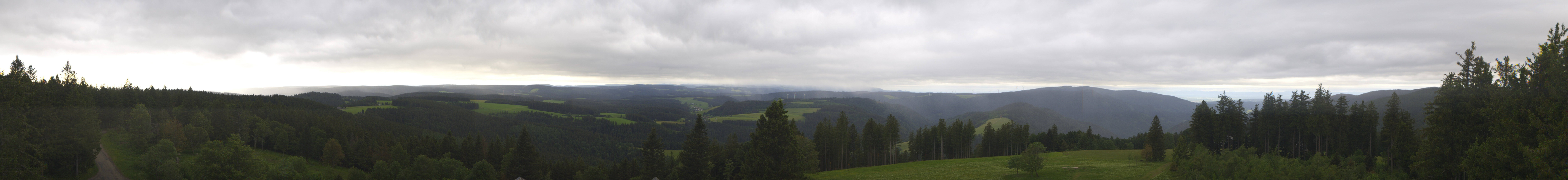 Archiv Foto Webcam Schwarzwald - Brendturm