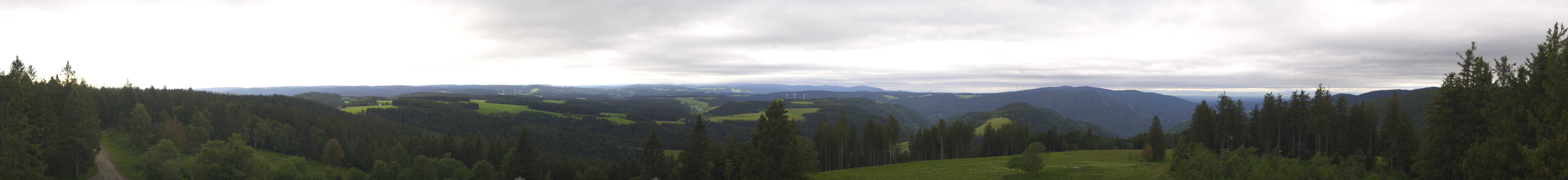 Archiv Foto Webcam Schwarzwald - Brendturm