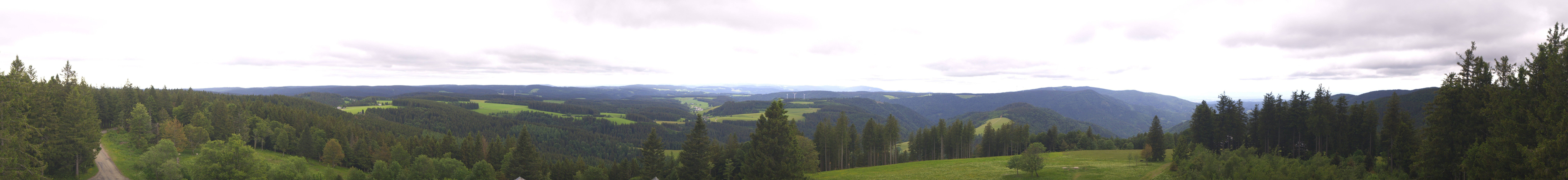 Archiv Foto Webcam Schwarzwald - Brendturm