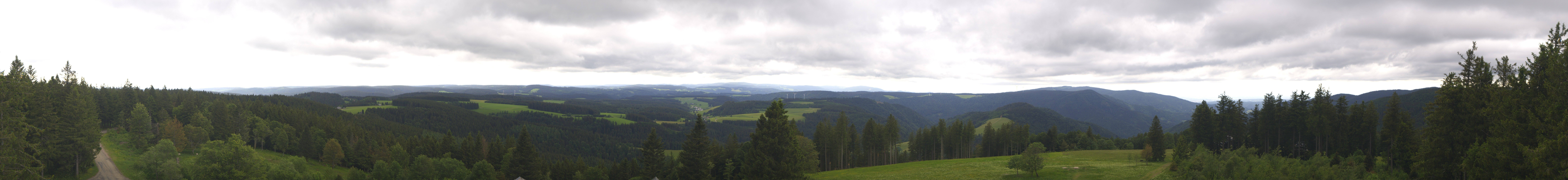 Archiv Foto Webcam Schwarzwald - Brendturm