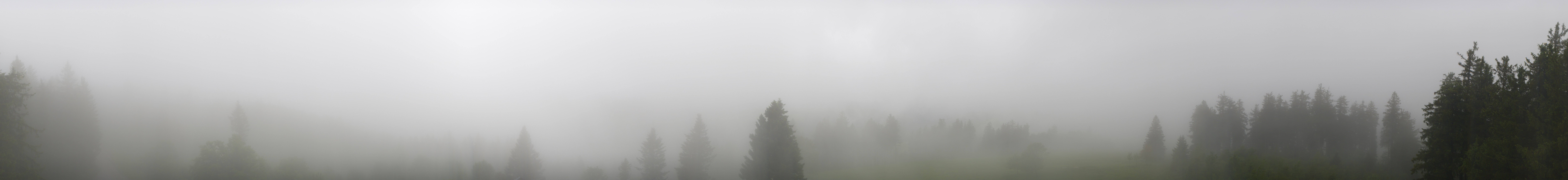 Archiv Foto Webcam Schwarzwald - Brendturm