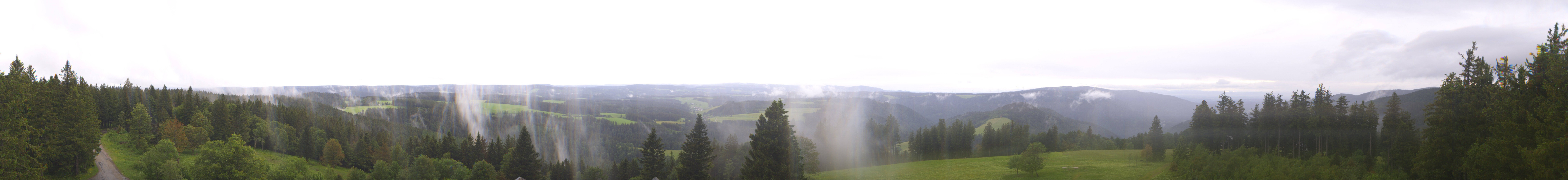 Archiv Foto Webcam Schwarzwald - Brendturm