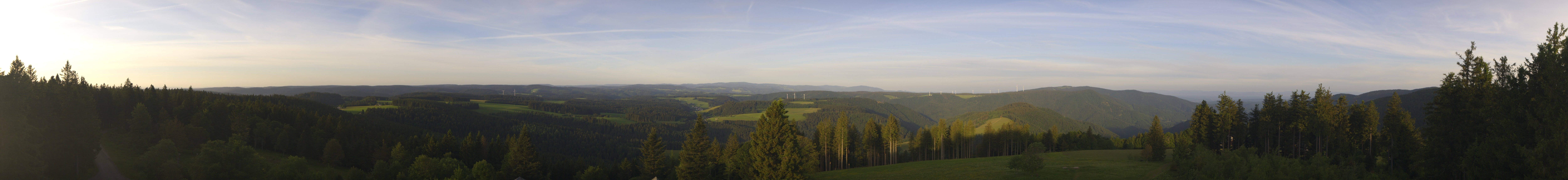 Archiv Foto Webcam Schwarzwald - Brendturm