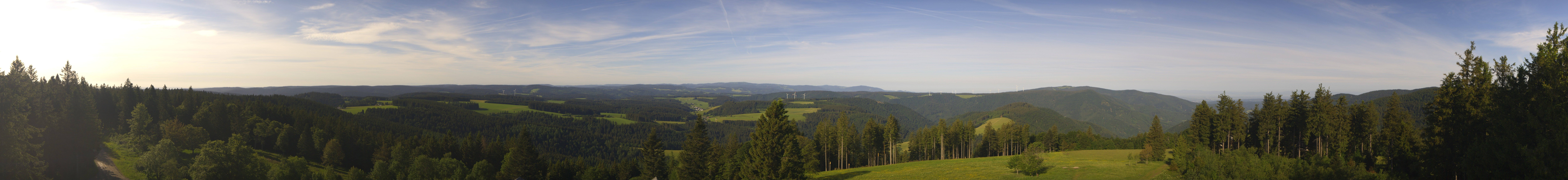 Archiv Foto Webcam Schwarzwald - Brendturm