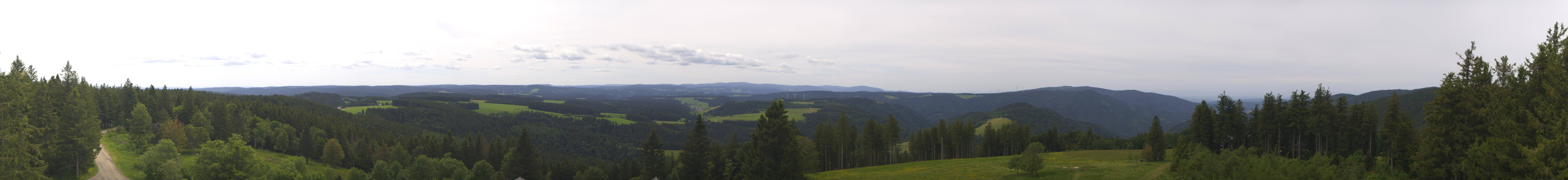 Archiv Foto Webcam Schwarzwald - Brendturm