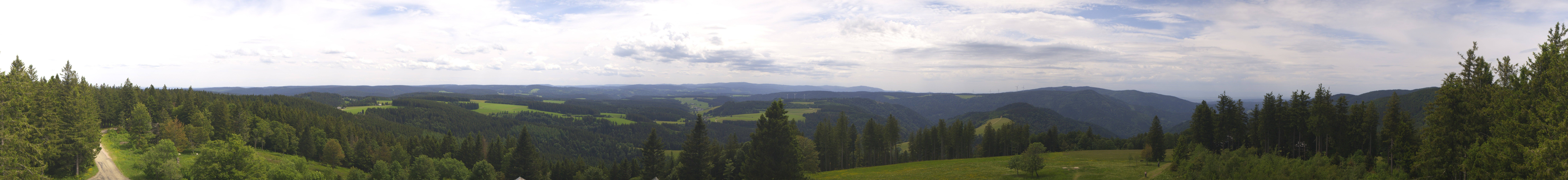 Archiv Foto Webcam Schwarzwald - Brendturm