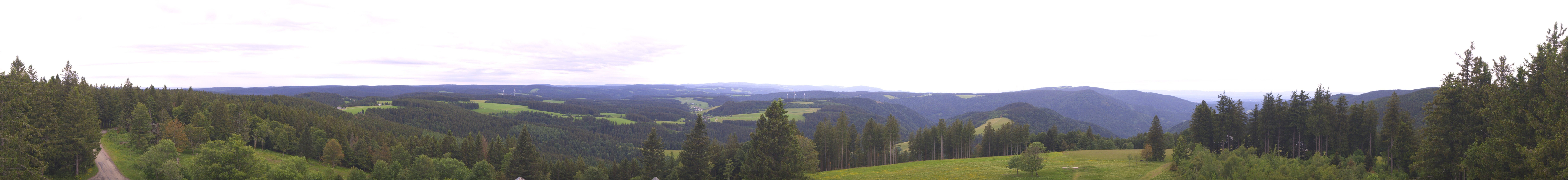 Archived image Webcam Black Forest - Brend Tower