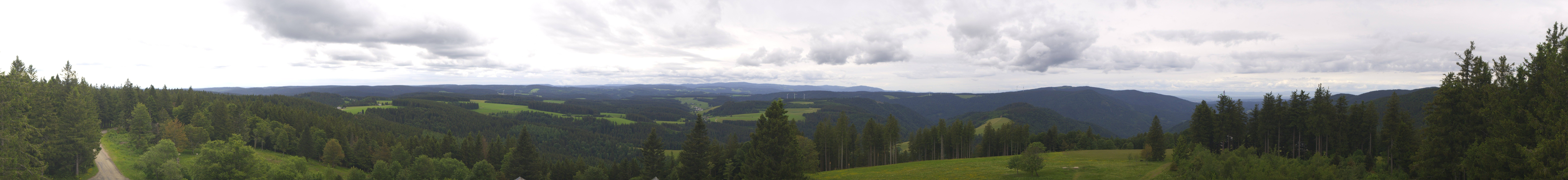 Archiv Foto Webcam Schwarzwald - Brendturm