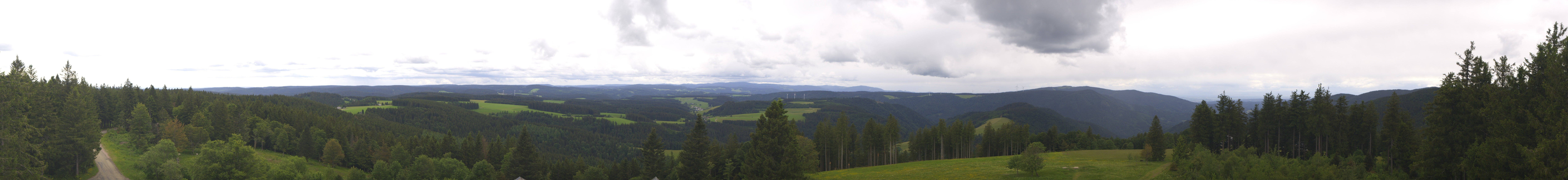 Archiv Foto Webcam Schwarzwald - Brendturm
