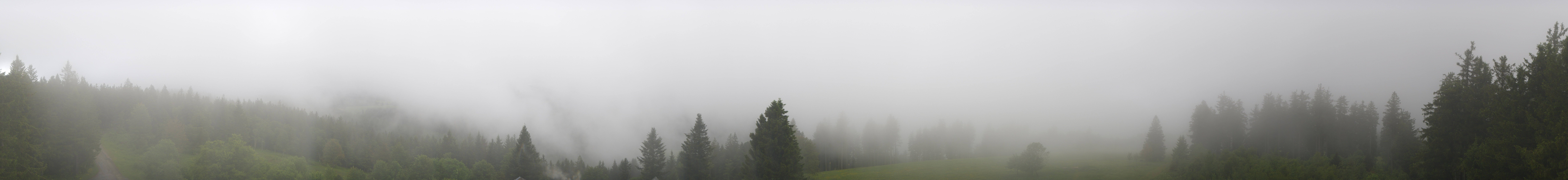 Archiv Foto Webcam Schwarzwald - Brendturm