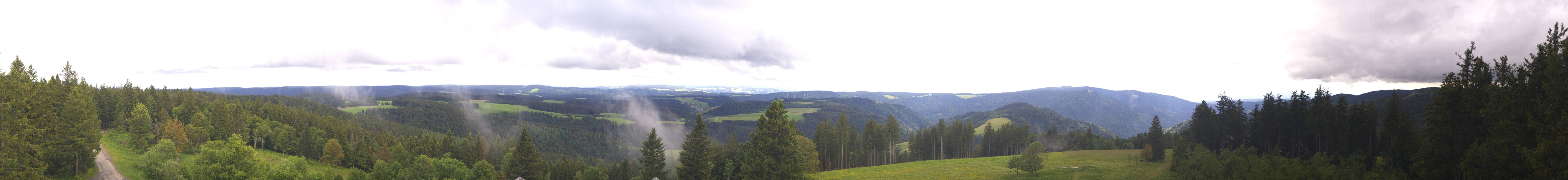 Archiv Foto Webcam Schwarzwald - Brendturm