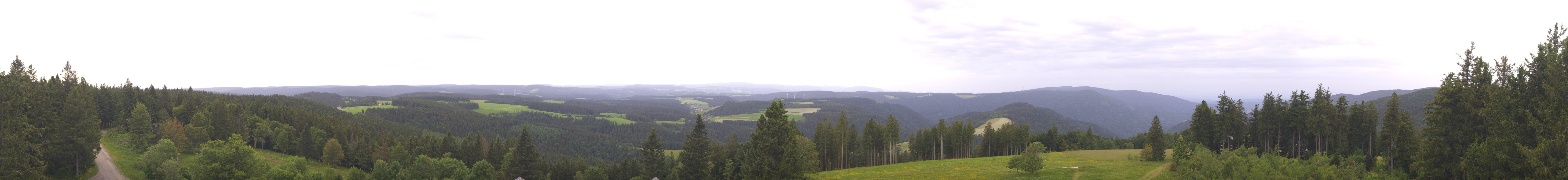 Archiv Foto Webcam Schwarzwald - Brendturm