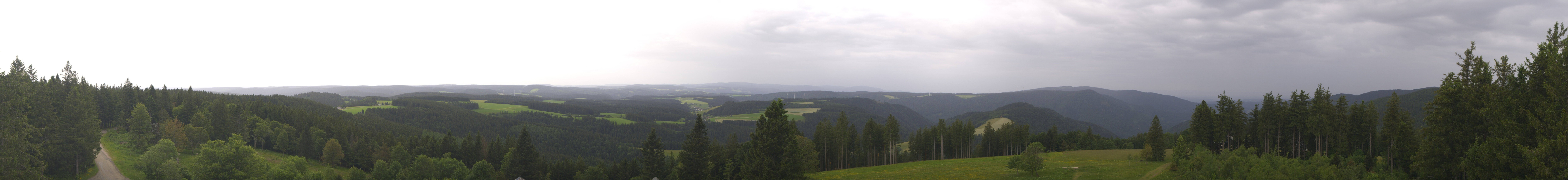 Archiv Foto Webcam Schwarzwald - Brendturm