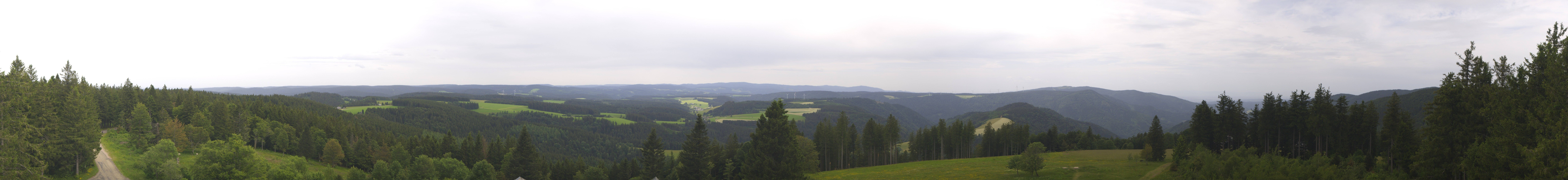 Archiv Foto Webcam Schwarzwald - Brendturm