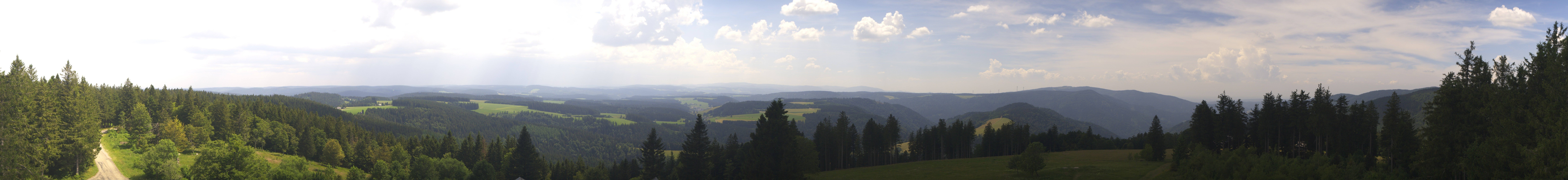 Archiv Foto Webcam Schwarzwald - Brendturm