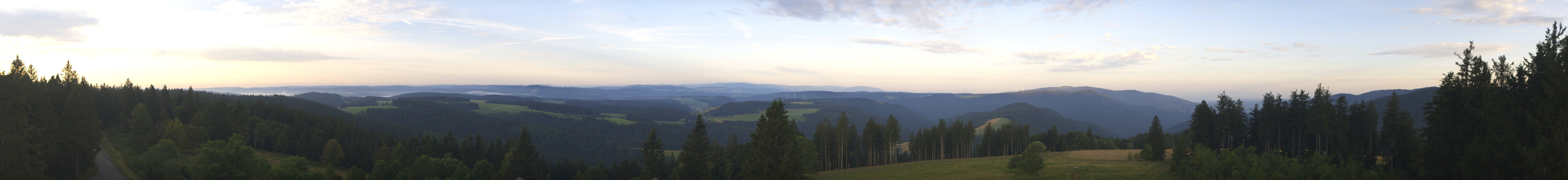 Archiv Foto Webcam Schwarzwald - Brendturm