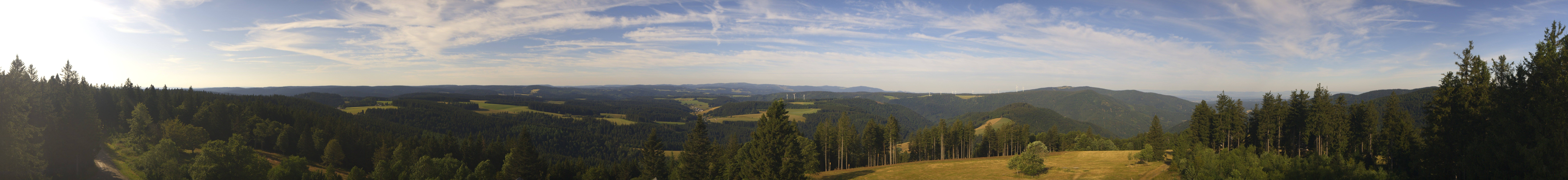Archived image Webcam Black Forest - Brend Tower