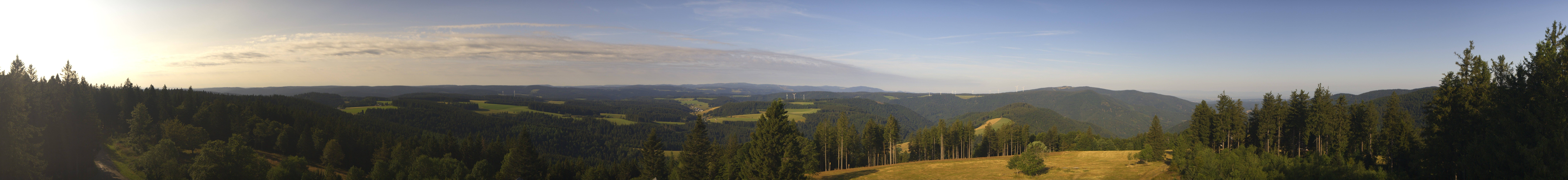 Archiv Foto Webcam Schwarzwald - Brendturm