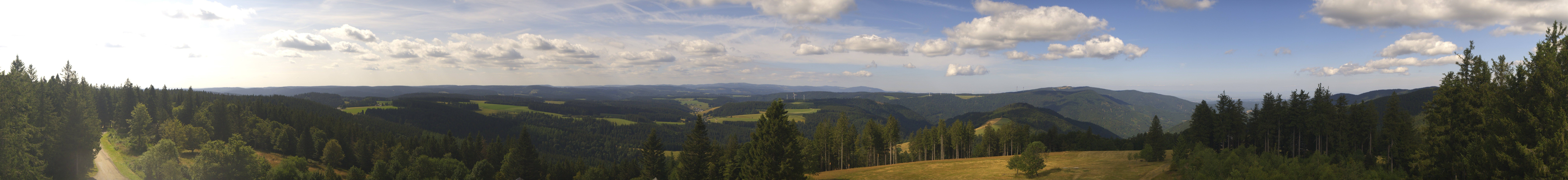 Archiv Foto Webcam Schwarzwald - Brendturm