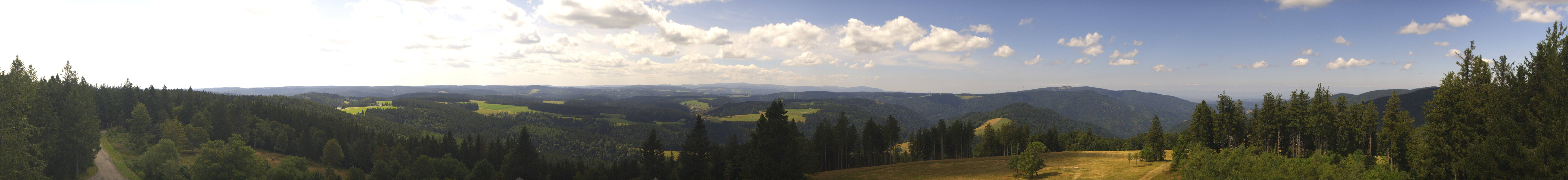 Archiv Foto Webcam Schwarzwald - Brendturm