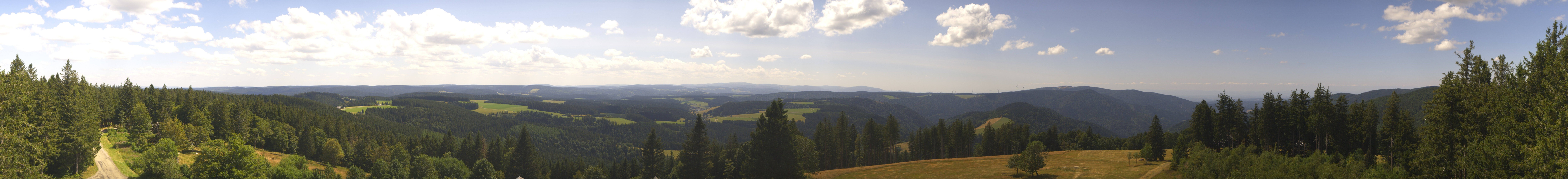 Archiv Foto Webcam Schwarzwald - Brendturm
